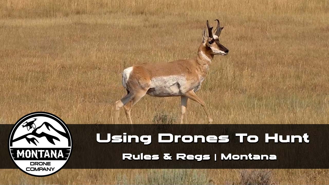 Can You Use Drones While Hunting | Drone Laws For Scouting Animals