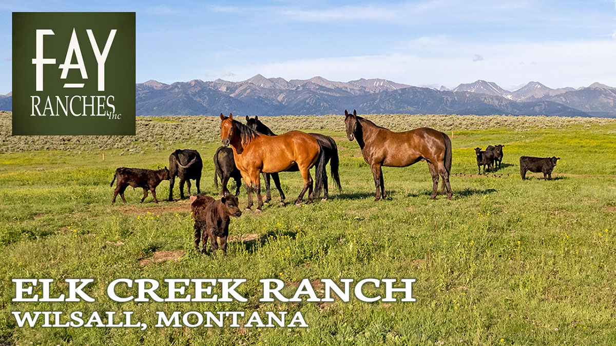 Elk Creek Ranch | Wilsall, Montana | Summer Footage