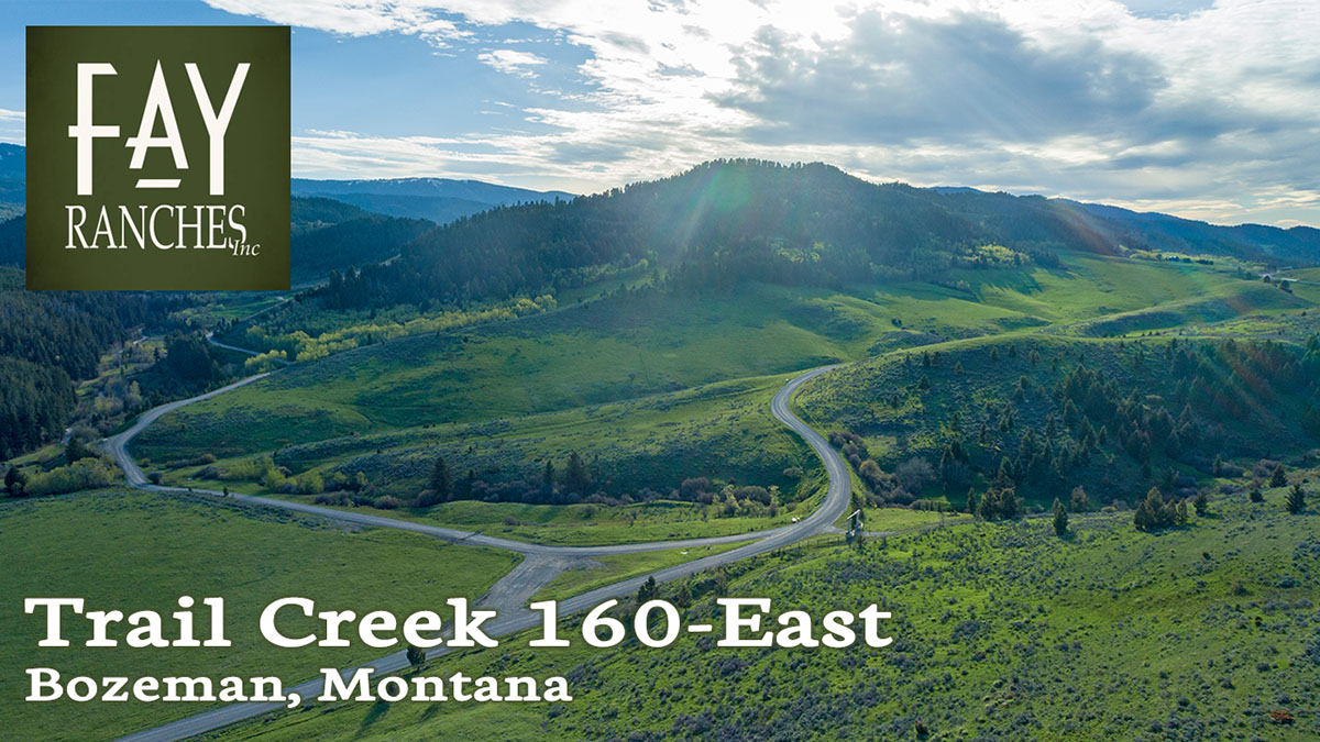 Gallatin Valley Land For Sale | Trail Creek Pass | East Property | Fay Ranches