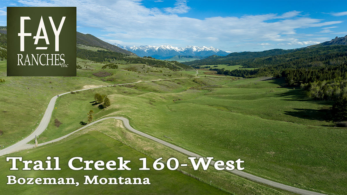 Gallatin Valley Land For Sale | Trail Creek Pass | West Property | Fay Ranches
