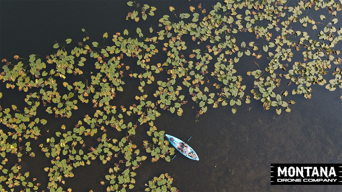 Kaiser Lake Montana Kayaking Through Lily Pads Drone Aerial Photo