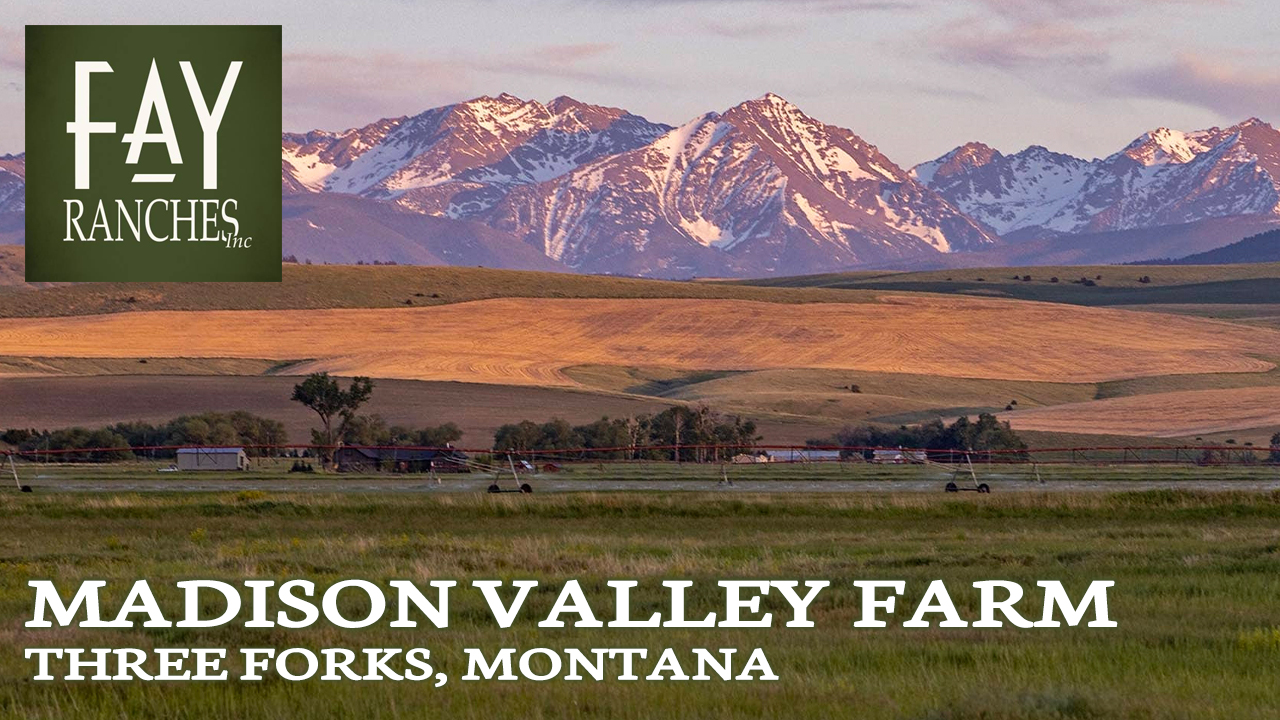 Montana Farm Land For Sale | Madison Valley Farm