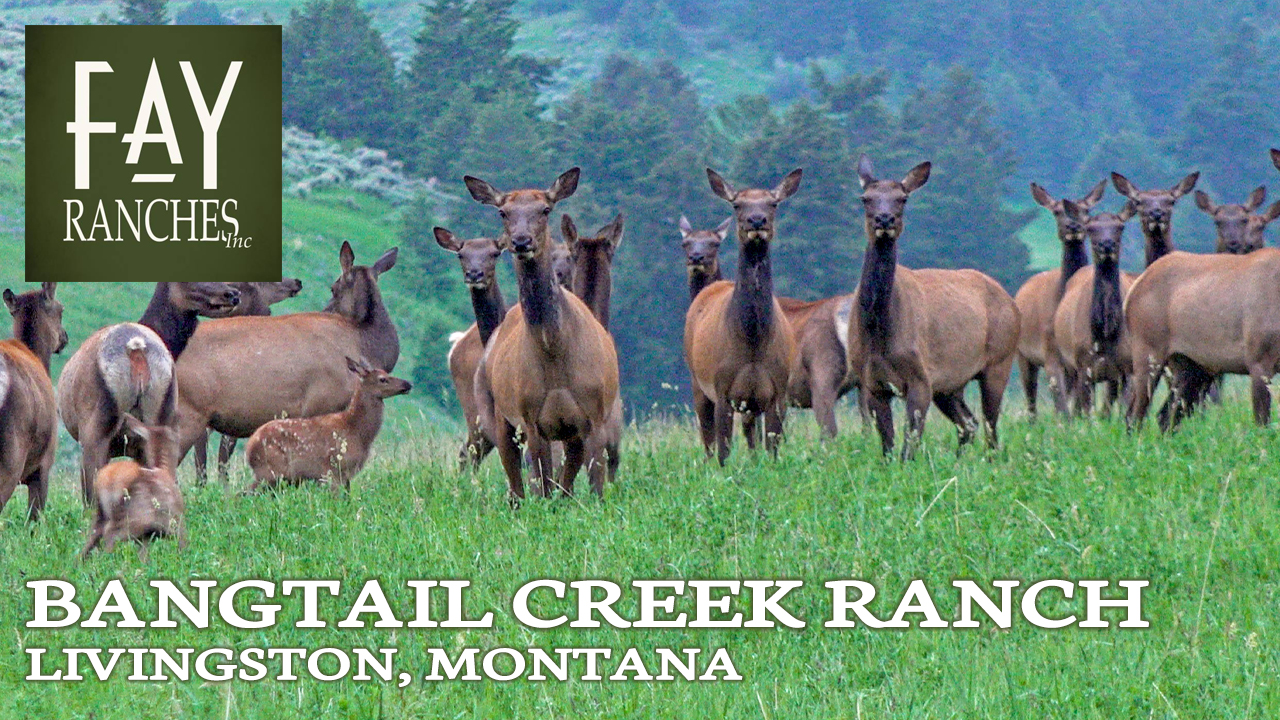 Montana Land For Sale | Bangtail Creek Ranch