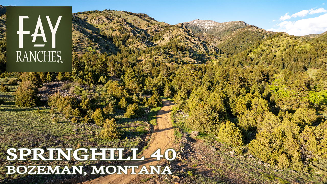 Montana Land For Sale | Springhill 40 Bozeman MT