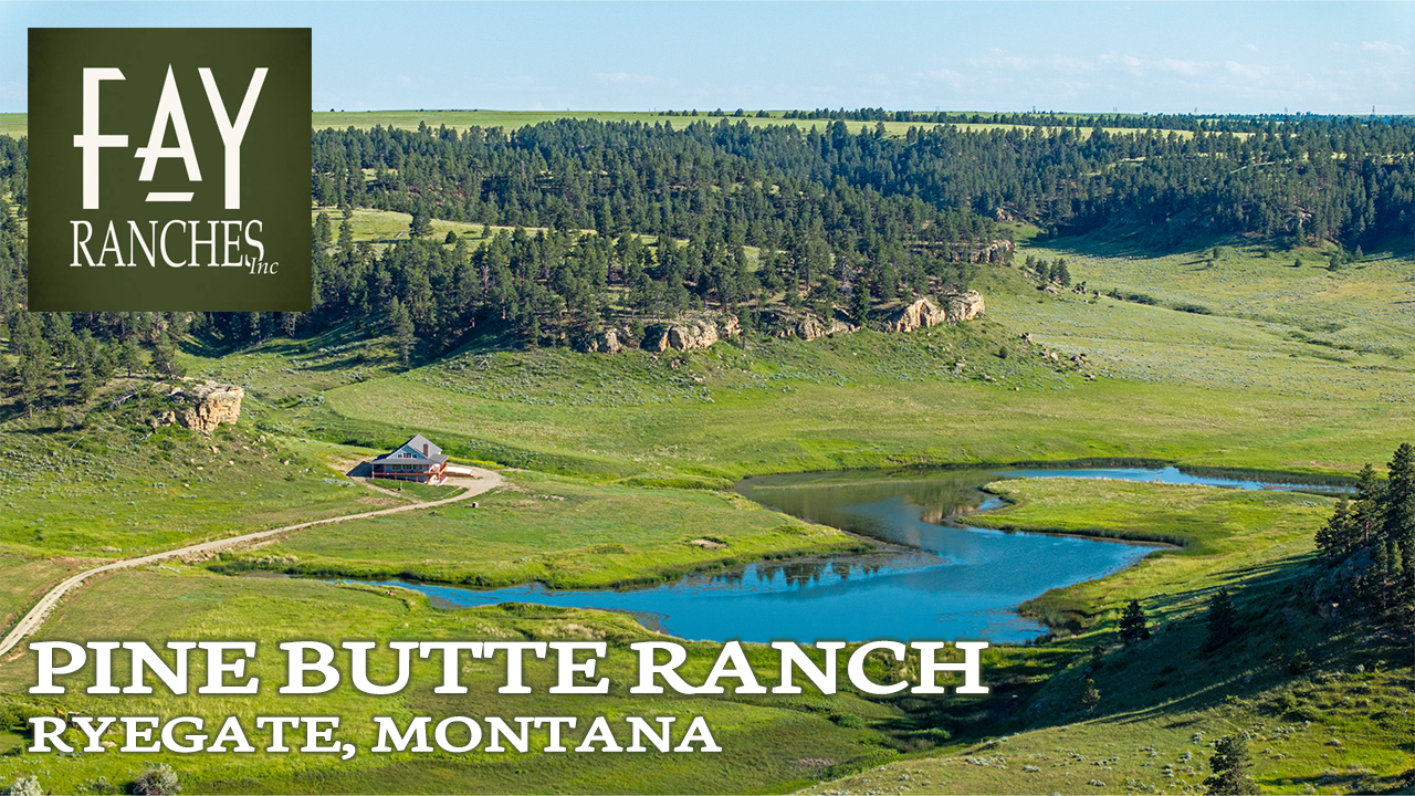 Montana Ranch For Sale | Pine Butte Ranch