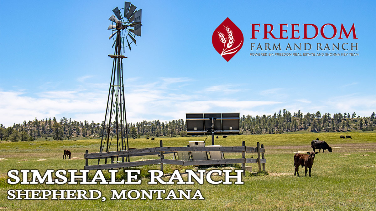 Montana Ranch For Sale | Simshale Ranch | Shepherd, MT