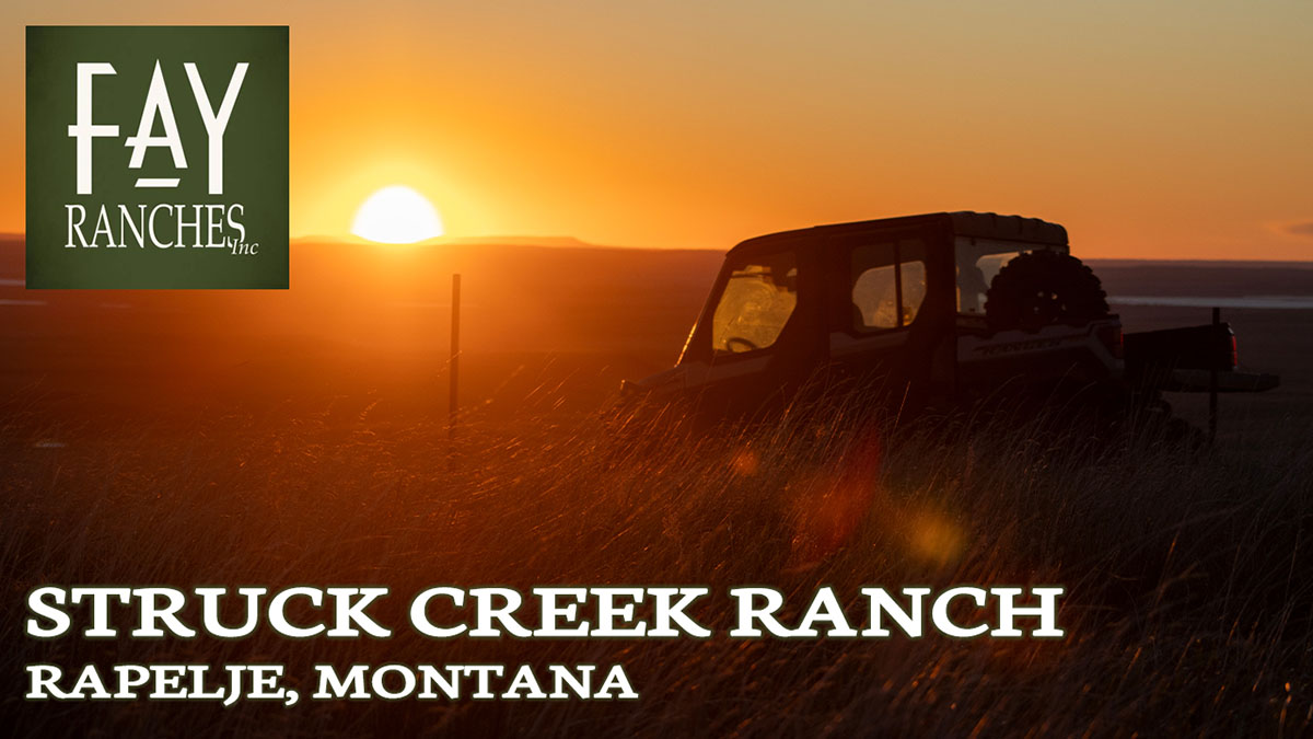 Montana Ranch For Sale | Struck Creek Ranch | Rapelje, MT