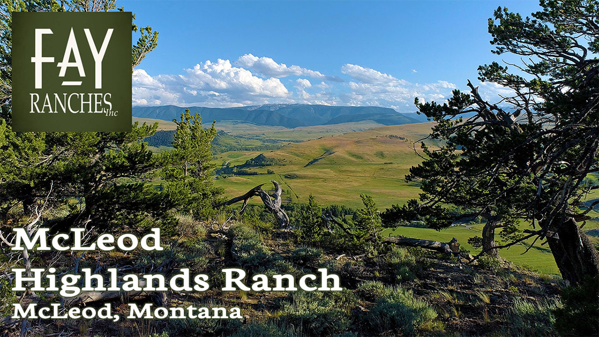 Montana Ranch For Sale | Sweetgrass County | McLeod Highlands Ranch | Fay Ranches