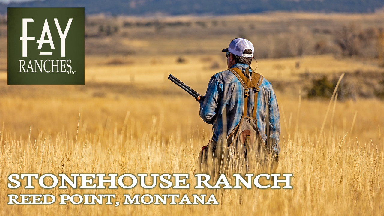 Montana Sharptail Bird Hunting Ranch For Sale