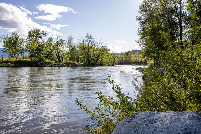 Ground View Stillwater River Castle Rock River Ranch Montana